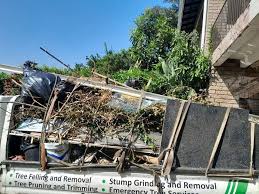 Best Shed Removal  in Monessen, PA